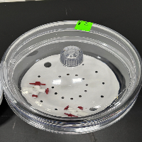 Lot Of Desicattors - Quantity 2 image 3